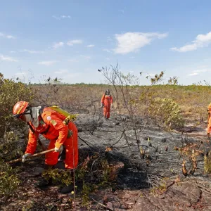 Alertas preventivos sobre o El Niño