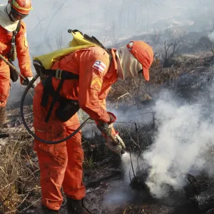 Bombeiros completam 100 dias de operação contra incêndios florestais 