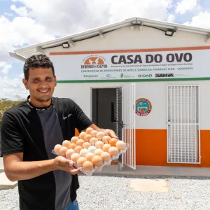 Editais Galinha Caipira da Bahia e Raízes da Bahia