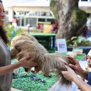 Educação ambiental desenvolvido pelo Parque Zoobotânico da Bahia