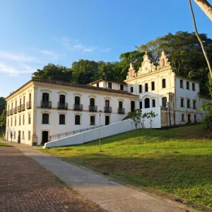 Museu do Recôncavo Wanderley Pinho abre exposição inspirada na obra de Frans Krajcberg
