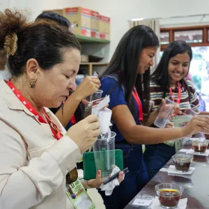 Concurso cafés especiais 