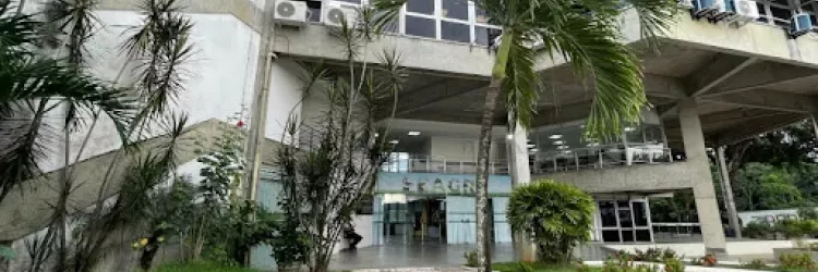 Secretaria da Agricultura oficializa a criação do Fórum Baiano de Indicações Geográficas e Marcas Coletivas