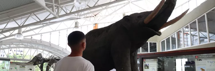 Foto: Rafaela Sena/Ascom SDE