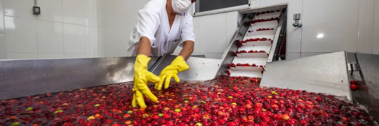 Foto: André Frutuoso/Ascom CAR