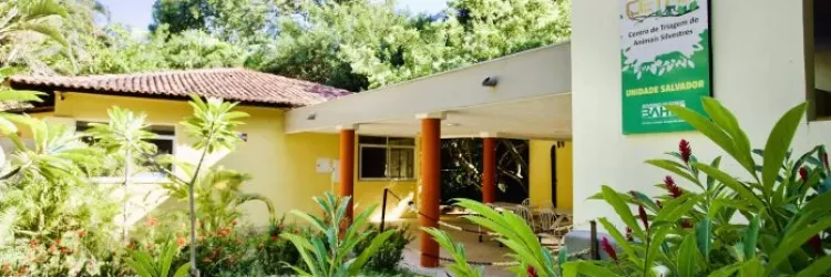 Bahia vai ganhar dois Centros de Triagem de Animais em Ilhéus