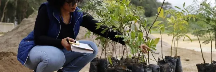 Projeto socioambiental da Embasa apoia na recuperação dezenas de áreas degradadas e de nascentes em 2024