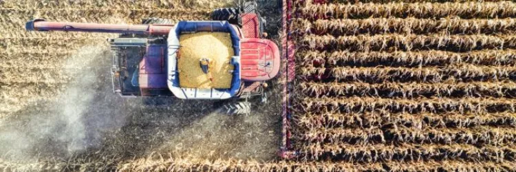 Agronegócio representou 23,5% do PIB da Bahia até o terceiro trimestre de 2024