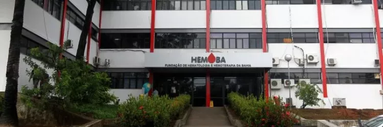 Hemoba recebe 190 mil doadores de sangue em 2024