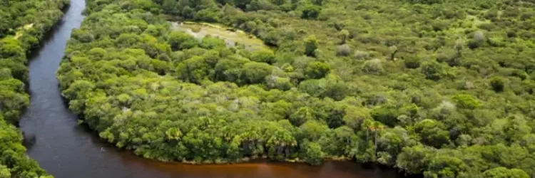 Bahia lidera conservação ambiental com novas RPPNs na Mata Atlântica, Cerrado e Caatinga