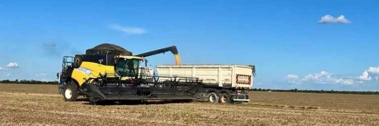 Comitiva da SDE apresenta oportunidades de investimentos para indústrias do Oeste