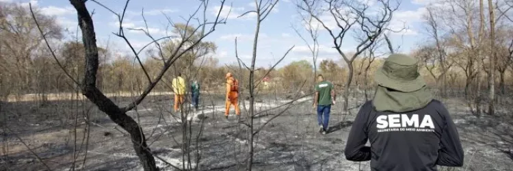 Seminário Internacional explora soluções para Incêndios Florestais e Mudanças Climáticas