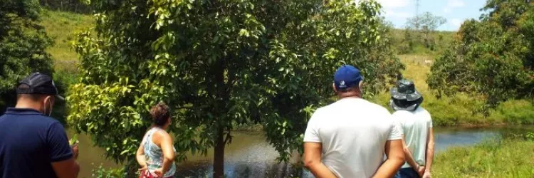 Prêmio Bahia Sustentável 2024 destaca soluções ambientais que preservam o futuro