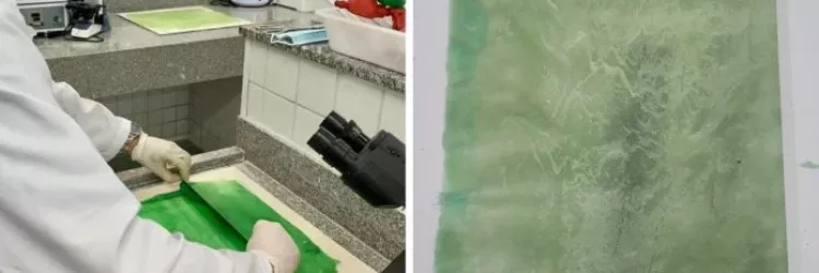 Sacola biodegradável desenvolvida por estudantes baianos é apresentada em evento internacional