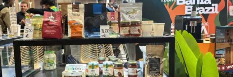 Investimentos ambientais no Baixo Sul da Bahia são debatidos durante reunião na capital baiana - Foto: Bianca Souza/Unicafes