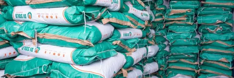 Serrinha recebe 7,5 toneladas de sementes e mutirão de documentação