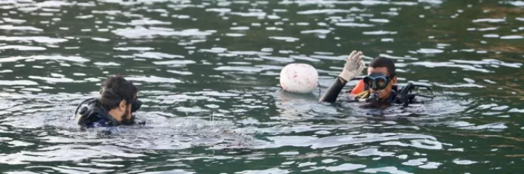 Peixe-leão é encontrado e capturado por especialistas na costa da Bahia - Foto: Matheus Lemos - Ascom/Sema