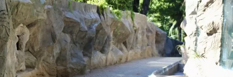 Obras de requalificação do Zoológico serão intensificadas após o Carnaval