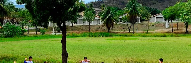 Uesb firma parceria com Centro de Equoterapia de Jequié