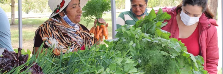 Feira Agroecológica da Uesb inaugura novo espaço nesta sexta (14)