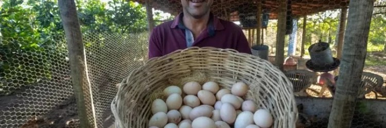 Cesta Básica de Salvador apresenta alta de 0,30% em fevereiro