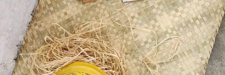 MAM, MAC_Bahia e MAB oferecem programação gratuita e diversificada para todos os públicos nesta semana