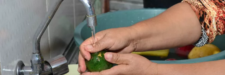 No Dia Mundial da Água CAR celebra a transformação das comunidades rurais da Bahia