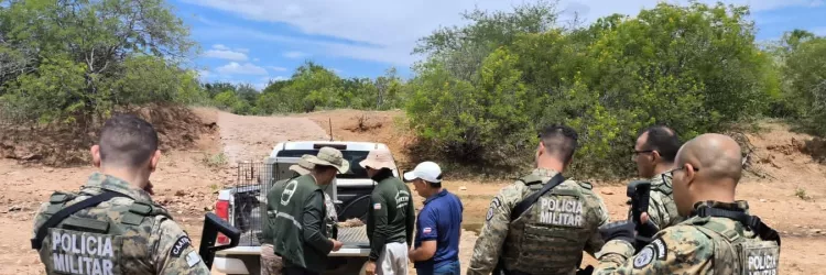 Torneio ilegal de caça de animais silvestres é desarticulado em Curaçá, Norte da Bahia