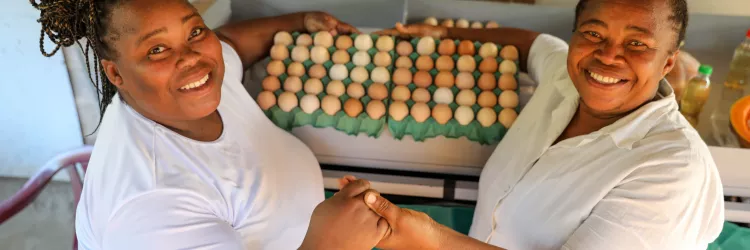 Produção de ovos atinge recorde na Bahia com apoio à agricultura familiar