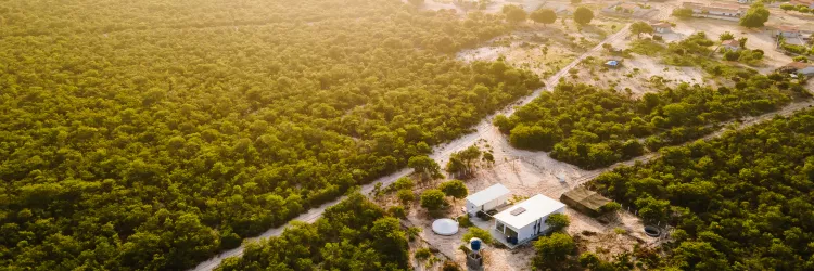 No Dia da Caatinga, ação de preservação reduz emissão de gases de efeito estufa no Semiárido baiano