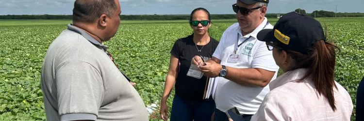 Defesas agropecuárias da Bahia e Rio Grande do Norte se unem para combater a “Mosca-das-Frutas”