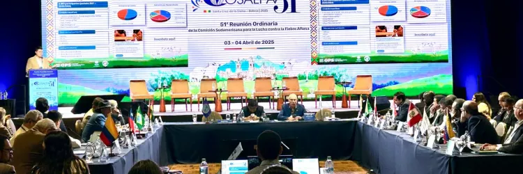 Encontro internacional define novas estratégias de prevenção contra a Febre Aftosa