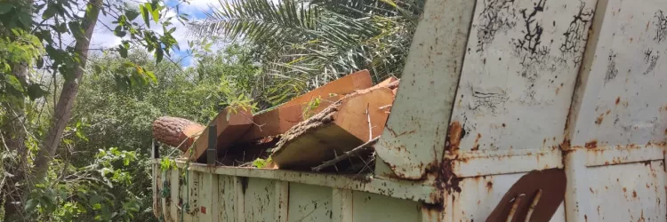 Operação do Inema coíbe desmatamento em área de Mata Atlântica