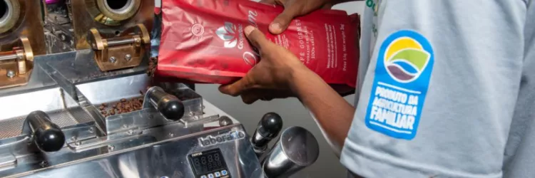 Produção sustentável agrega valor ao café da agricultura familiar baiana