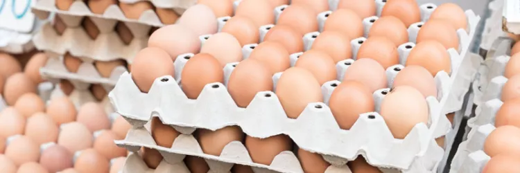 Cesta Básica de Salvador sobe 3,98% em março e encerra primeiro trimestre de 2025 com alta acumulada de 7,09%