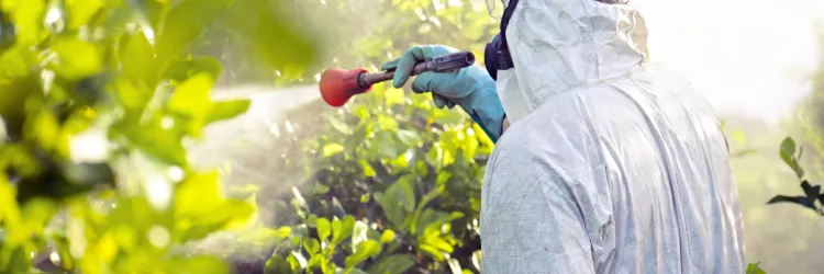 Recebimento itinerante de embalagens de agrotóxicos tem apoio da Adab
