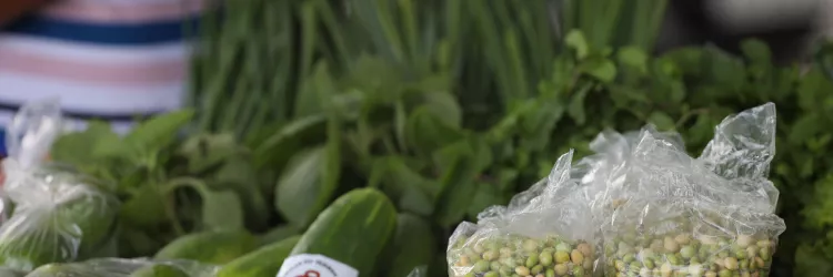  Do campo para a tela: Seagri oferece serviço de cotações agrícolas nas redes sociais