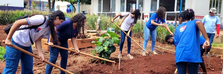 Farmácia Verde transforma escola e comunidade com saberes ancestrais e cuidados com a saúde