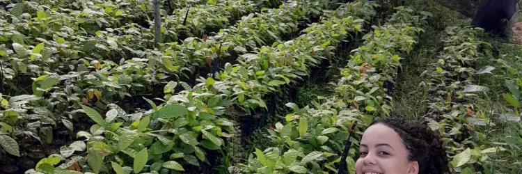 Estudantes da rede estadual de ensino da Bahia chegam à final do Prêmio Criativos: Escola + Natureza