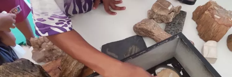 Os seres do passado: projeto da Uesb leva Paleontologia às escolas