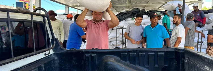 Milho chega a Remanso e garante alimento para os rebanhos