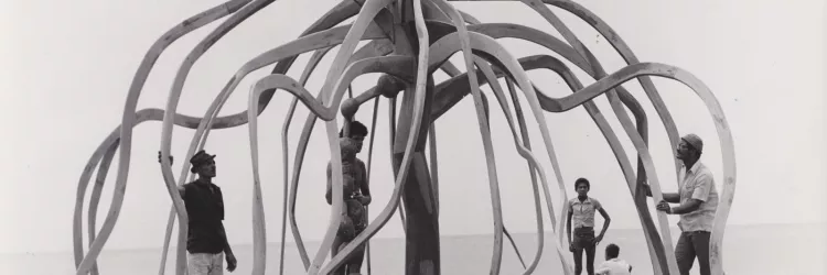 A Flor do mangue, 1970