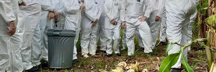 Adab prepara equipes para atuar em emergências fitossanitárias