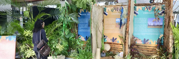 Exposição na Biblioteca Central destaca os biomas da Bahia