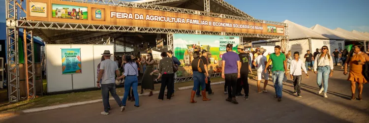 Agricultura Familiar da Bahia leva sabor, identidade e negócios para a Bahia Farm Show 2025