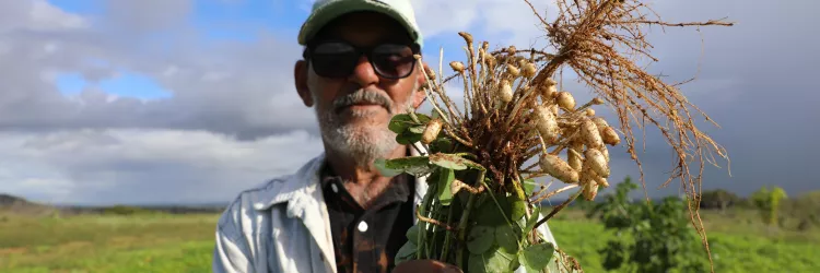 Chegada do São João aquece as vendas e fortalece quem vive da agricultura familiar