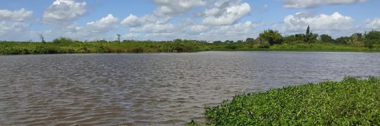 Estudantes de Santa Bárbara realizam projeto