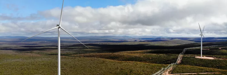 Dia Mundial dos Ventos: Bahia celebra a data como referência nacional em energia eólica
