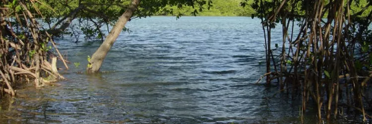 Univerciência estreia nova temporada neste sábado