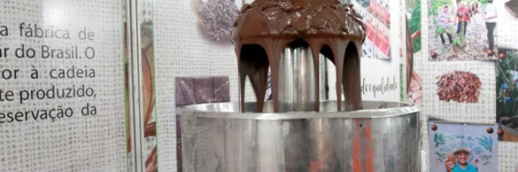 Chocolate da Bahia: Produção de excelência que conquistou o mundo